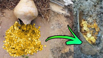 المليونير والذهب